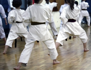 martial-arts-industry-expertise